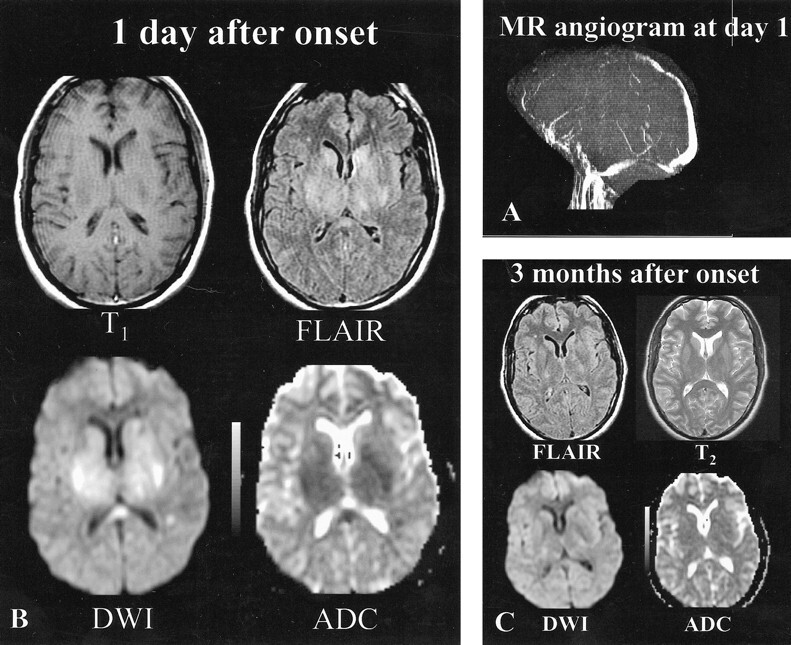 fig 1.