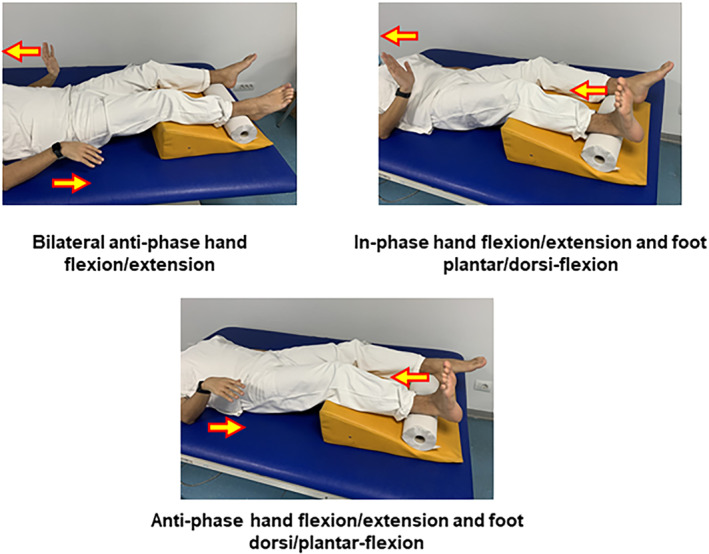 FIGURE 1