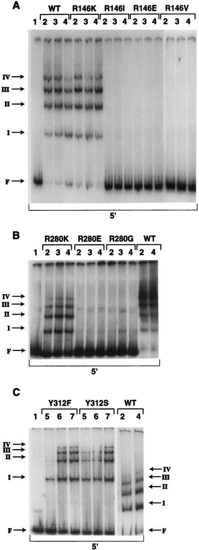 FIG. 4