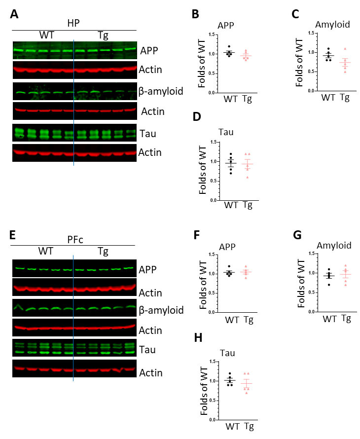 Figure 6.