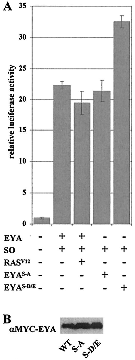 FIG. 5.