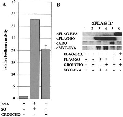 FIG. 6.