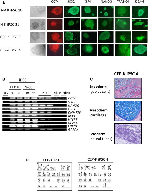 Figure 2