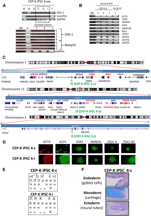 Figure 3