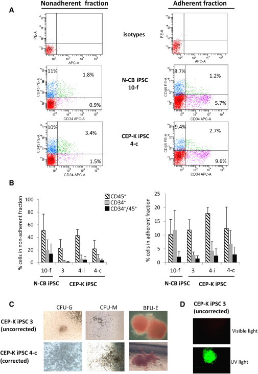 Figure 4