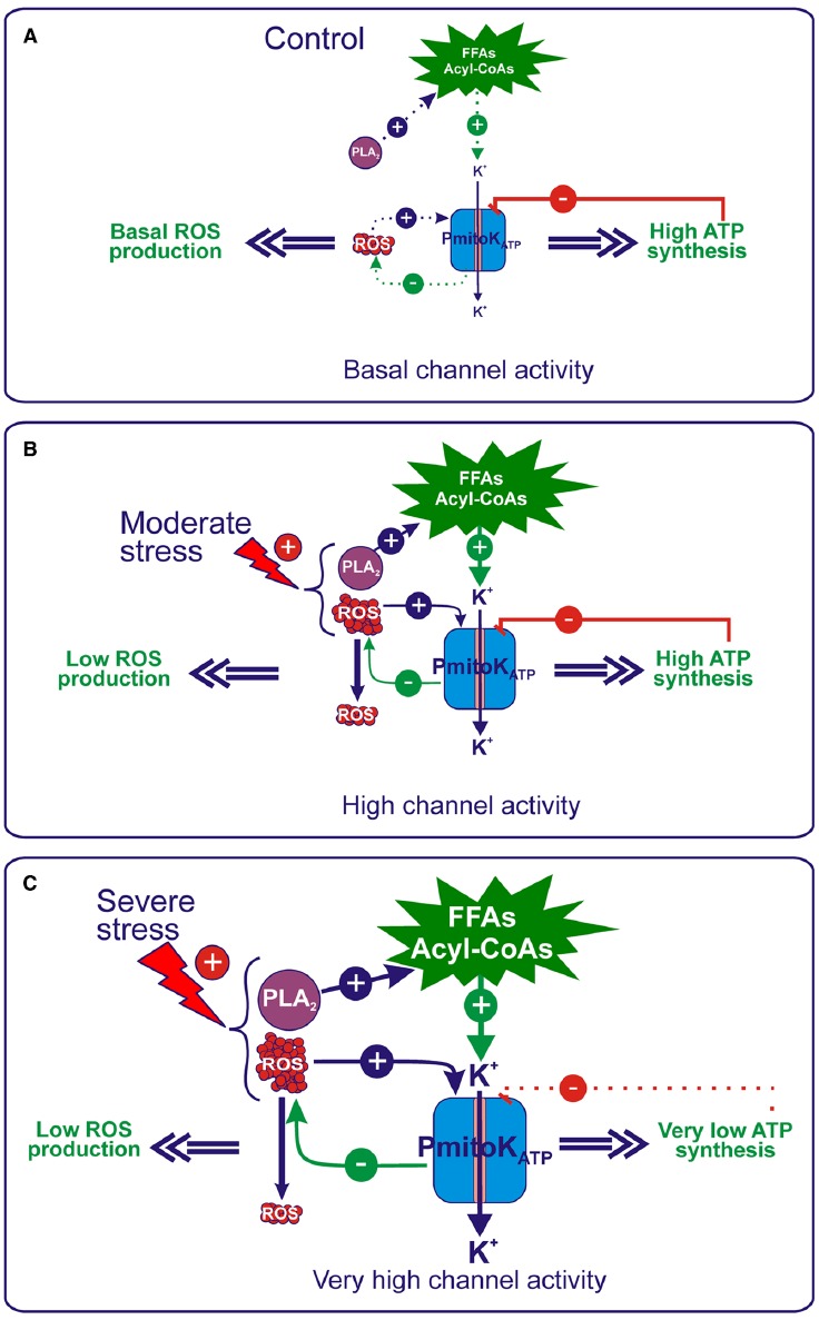 FIGURE 4