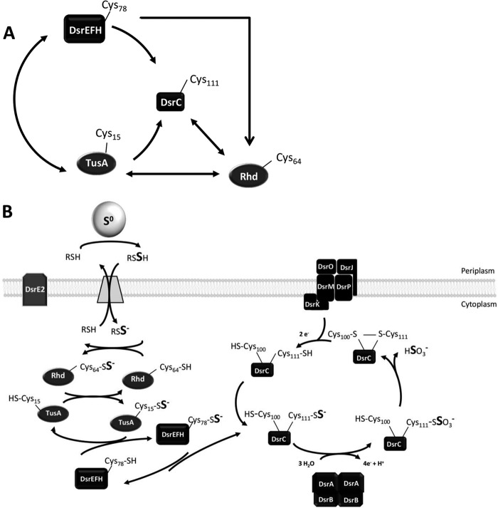 FIGURE 7.