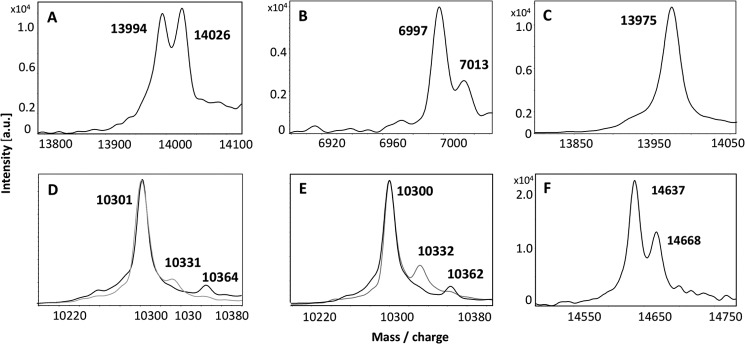 FIGURE 4.