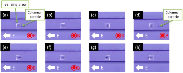 Figure 13