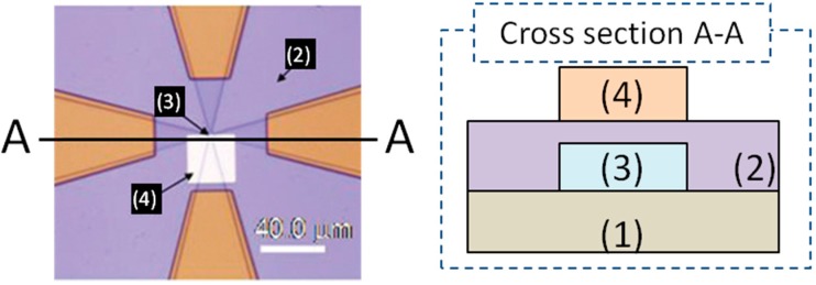 Figure 9