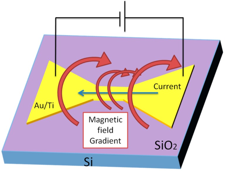 Figure 21