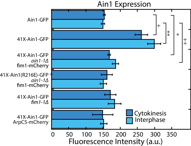 Figure 2—figure supplement 1.