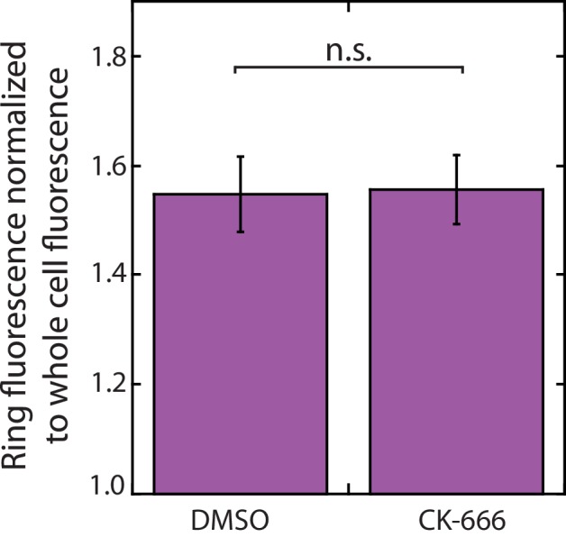 Figure 1—figure supplement 2.