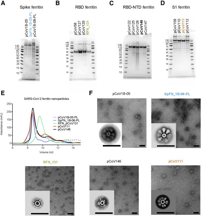 Figure 2