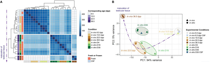 Figure 6