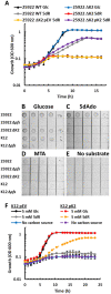 Fig. 4.