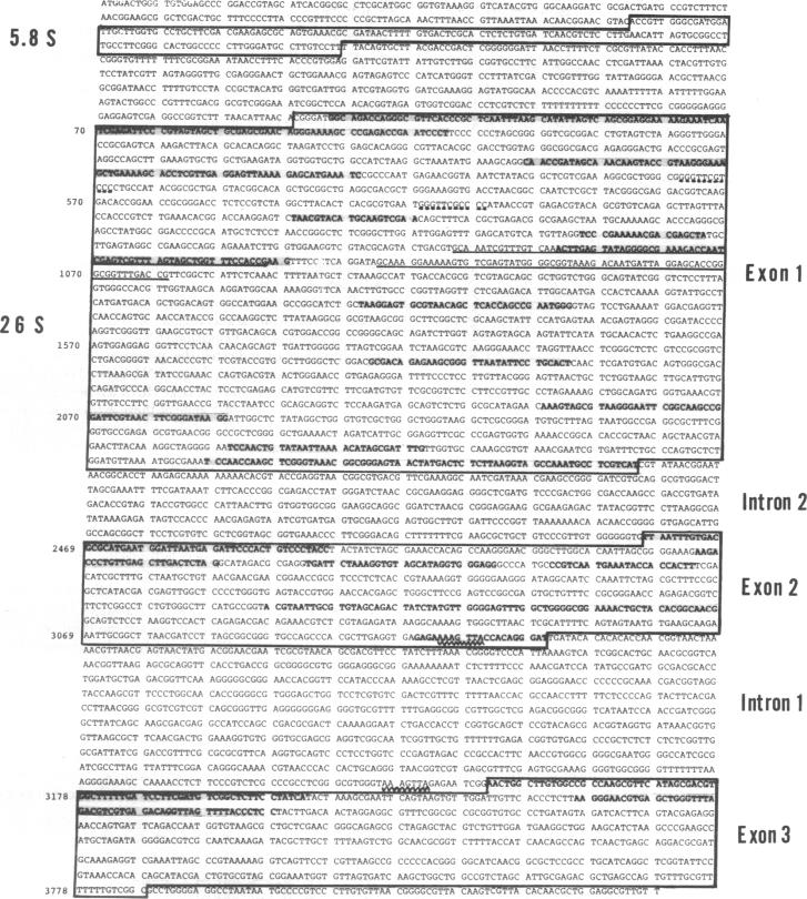 graphic file with name pnas00637-0030-a.jpg