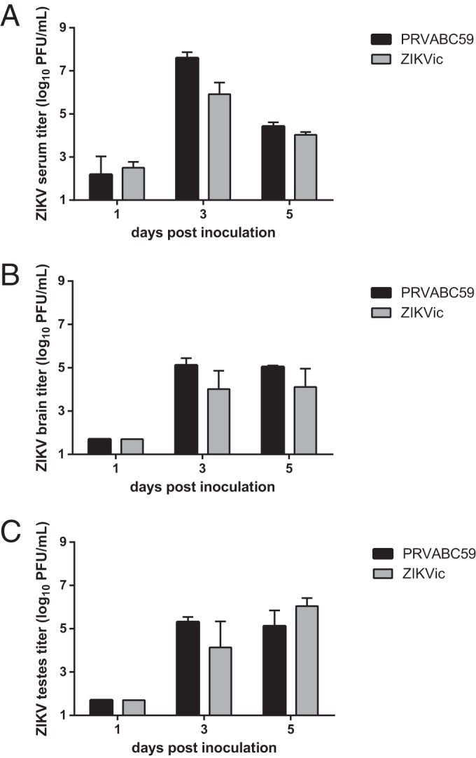 FIG 4