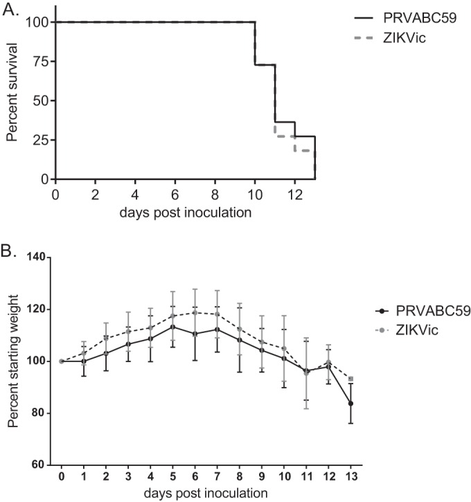 FIG 3