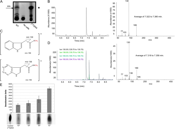 Figure 2.—