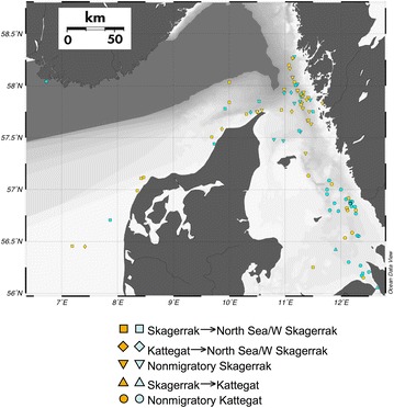 Fig. 2