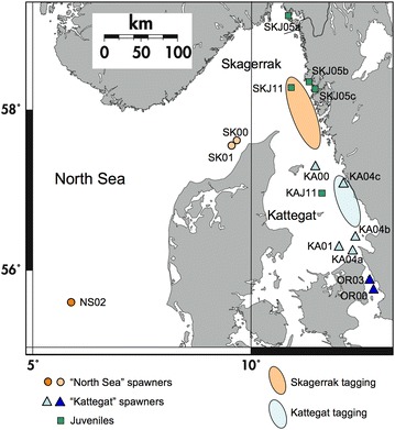 Fig. 3