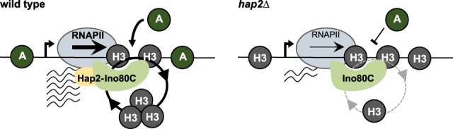 Figure 7.