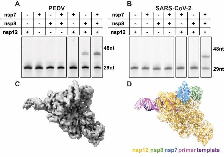 Figure 1: