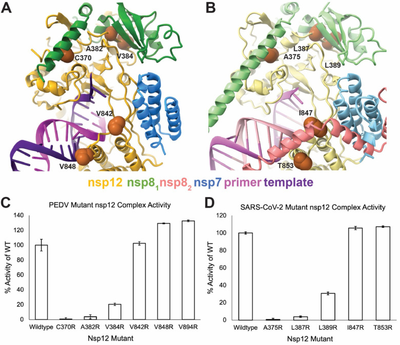 Figure 3: