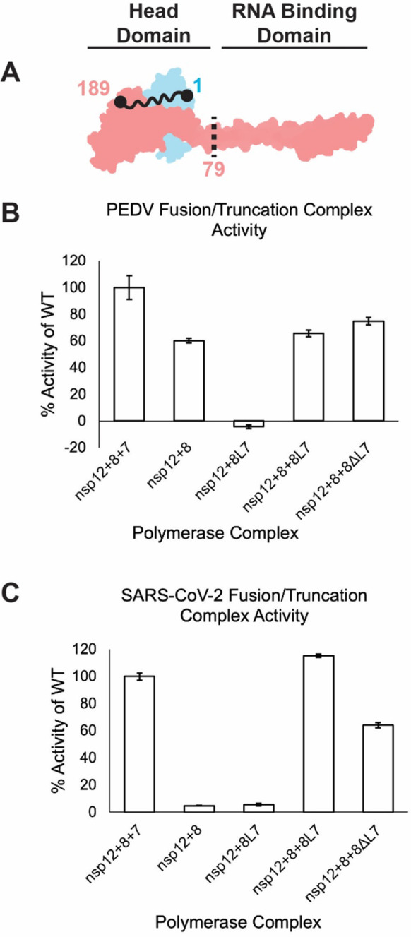 Figure 4: