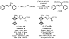 Scheme 10