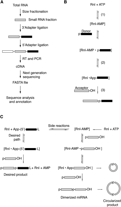 FIGURE 1.