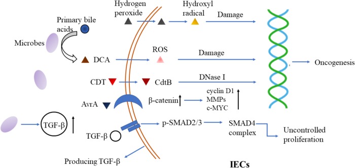 FIGURE 1