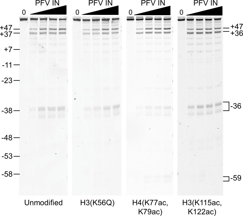 Fig 5