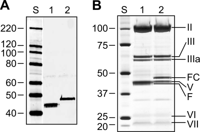 FIG. 6.