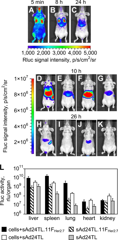 FIG. 8.