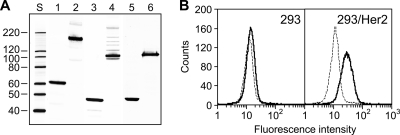 FIG. 5.