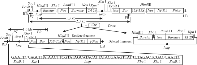 Figure 10