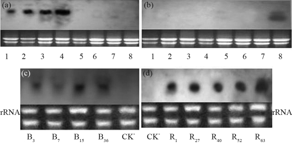 Figure 3