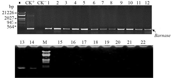 Figure 6