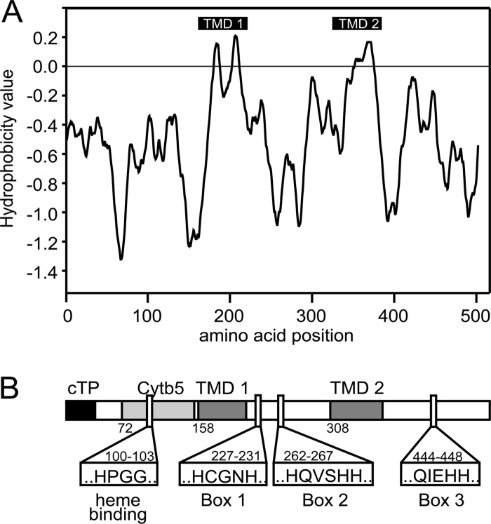 Fig 2