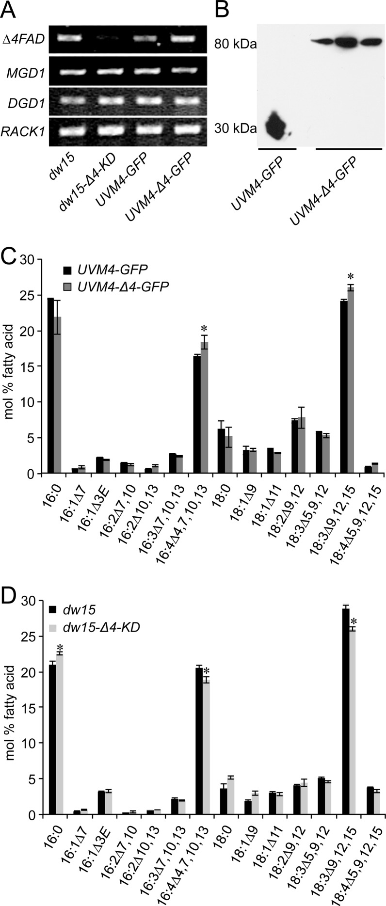 Fig 4