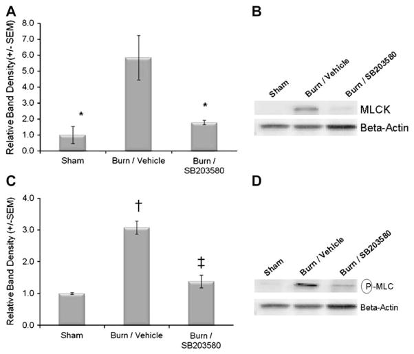 FIG 4