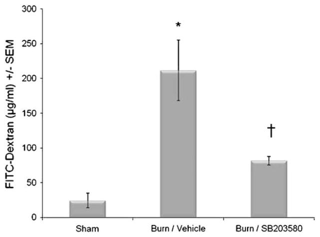 FIG 1