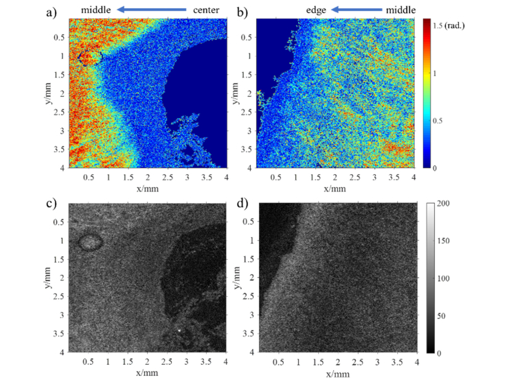 Fig. 10