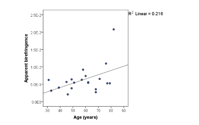 Fig. 11