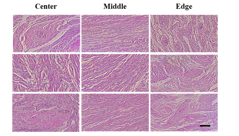 Fig. 8