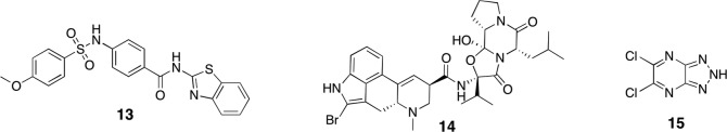 Fig. 13.3