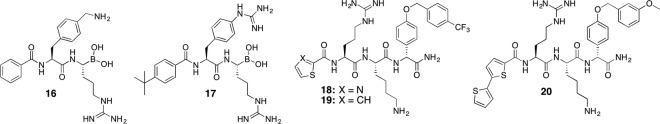 Fig. 13.4