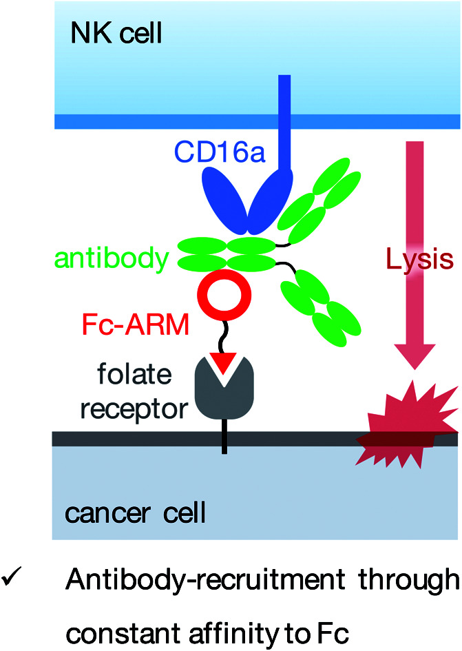 graphic file with name d0sc00017e-ga.jpg